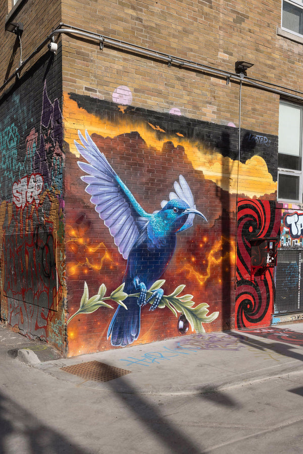 Outdoor: Paint Your Own Pottery Workshop