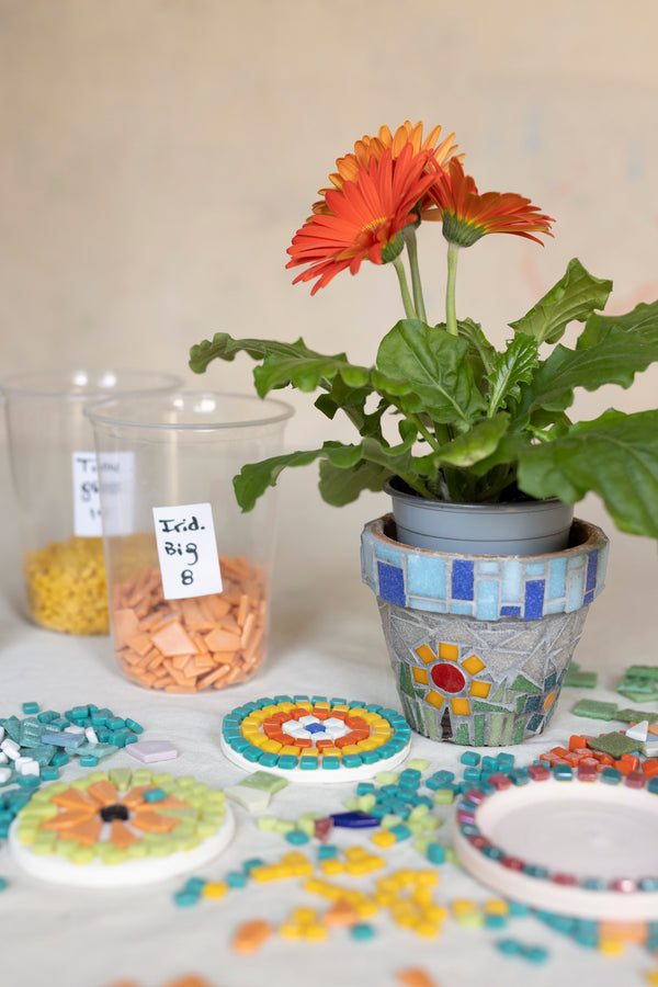 Mosaic Workshop at Dundas