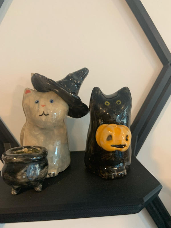 Kids Summer Camp at Dundas Week 9: Kooky Cats π± (August 31- Sept 4)