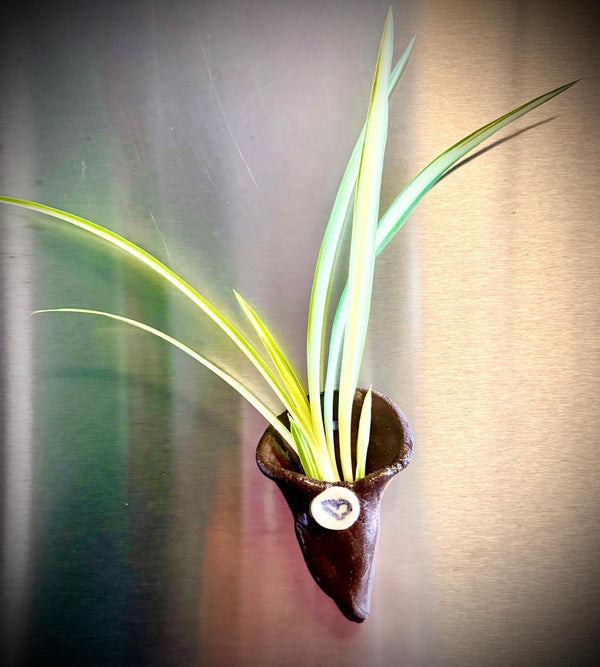 2 Magnetic Planters Handbuilding and Painting Workshop at Richmond