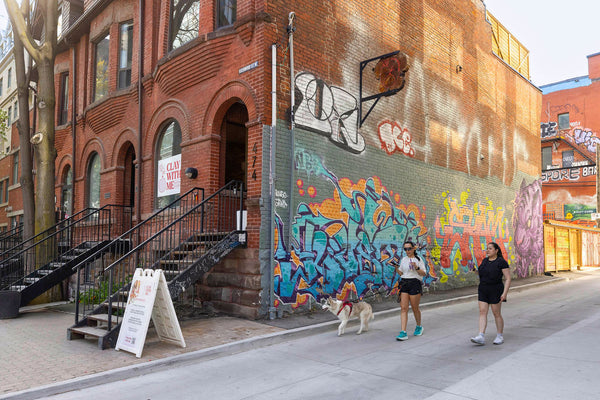 Graffiti Alley Vibes: Mosaic!