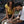 Date Night Wheel – Couples Edition