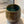4-Week Beginner Pottery Wheel Course at Richmond