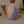 Paint Your Own Pottery at Richmond