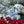Mosaic Workshop at Richmond