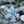 Mosaic Workshop at Richmond