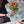 Mosaic Workshop