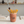 Paint Your Own Pottery Workshop