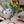 Mosaic Workshop