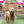Outdoor Dog Paw Print & Painting Pottery Workshop at Richmond