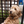 Outdoor Dog Paw Print & Painting Pottery Workshop at Richmond
