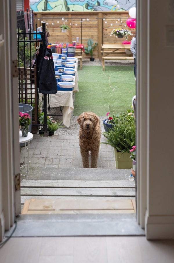 Outdoor Dog Paw Print & Painting Pottery Workshop at Richmond