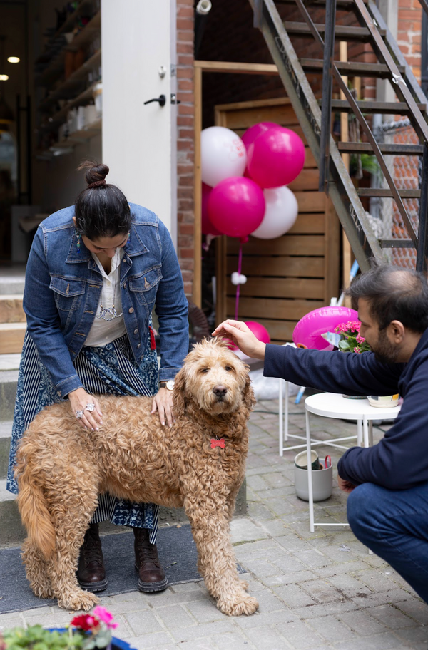 Outdoor Dog Paw Print & Painting Pottery Workshop at Richmond