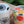 To-Go Mug Handbuilding Workshop