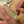 Sip & Paint Workshop at Richmond