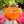 Pumpkin Brie Dish Handbuilding Workshop