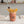 Paint Your Own Pottery Workshop
